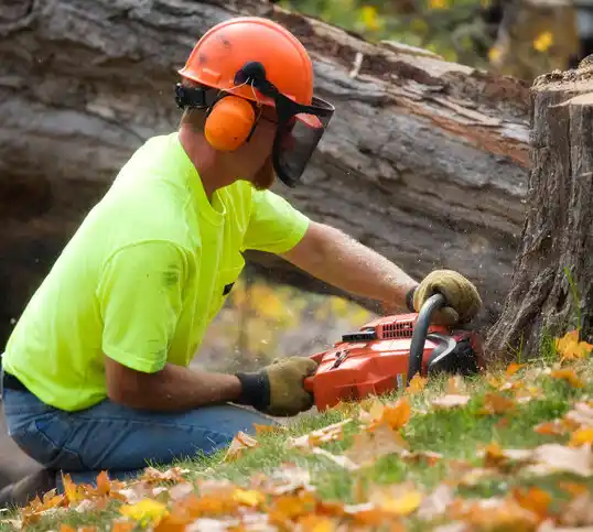 tree services East Pecos